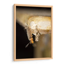 Minimundus16 - Jiván | Cuadro decorativo de Canvas Lab