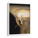 Minimundus16 - Jiván | Cuadro decorativo de Canvas Lab