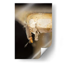 Minimundus16 - Jiván | Cuadro decorativo de Canvas Lab