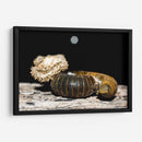 Minimundus18 - Jiván | Cuadro decorativo de Canvas Lab