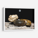 Minimundus18 - Jiván | Cuadro decorativo de Canvas Lab