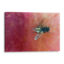 Minimundus19 - Jiván | Cuadro decorativo de Canvas Lab