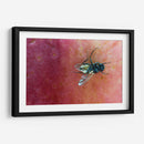 Minimundus19 - Jiván | Cuadro decorativo de Canvas Lab