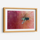 Minimundus19 - Jiván | Cuadro decorativo de Canvas Lab