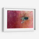 Minimundus19 - Jiván | Cuadro decorativo de Canvas Lab