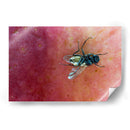 Minimundus19 - Jiván | Cuadro decorativo de Canvas Lab