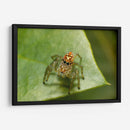 Minimundus20 - Jiván | Cuadro decorativo de Canvas Lab