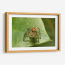 Minimundus20 - Jiván | Cuadro decorativo de Canvas Lab