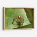 Minimundus20 - Jiván | Cuadro decorativo de Canvas Lab