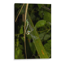 Minimundus23 - Jiván | Cuadro decorativo de Canvas Lab