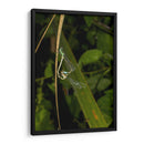 Minimundus23 - Jiván | Cuadro decorativo de Canvas Lab