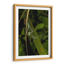 Minimundus23 - Jiván | Cuadro decorativo de Canvas Lab