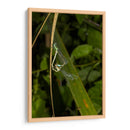 Minimundus23 - Jiván | Cuadro decorativo de Canvas Lab