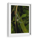 Minimundus23 - Jiván | Cuadro decorativo de Canvas Lab