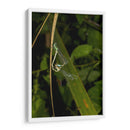 Minimundus23 - Jiván | Cuadro decorativo de Canvas Lab