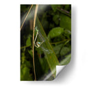 Minimundus23 - Jiván | Cuadro decorativo de Canvas Lab