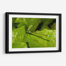 Minimundus26 - Jiván | Cuadro decorativo de Canvas Lab