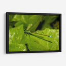 Minimundus26 - Jiván | Cuadro decorativo de Canvas Lab