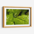 Minimundus26 - Jiván | Cuadro decorativo de Canvas Lab