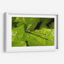 Minimundus26 - Jiván | Cuadro decorativo de Canvas Lab