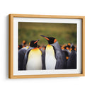 Pareja de Pingüinos - Carlos Montaño | Cuadro decorativo de Canvas Lab