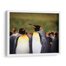 Pareja de Pingüinos - Carlos Montaño | Cuadro decorativo de Canvas Lab
