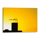 Pajaros al atardecer - Dreamer Studio | Cuadro decorativo de Canvas Lab