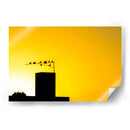 Pajaros al atardecer - Dreamer Studio | Cuadro decorativo de Canvas Lab