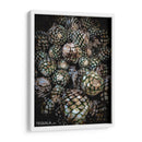 TEQUILA - Ramon MRQZ | Cuadro decorativo de Canvas Lab