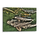 Peces de plata solapados - Dreamer Studio | Cuadro decorativo de Canvas Lab