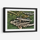 Peces de plata solapados - Dreamer Studio | Cuadro decorativo de Canvas Lab