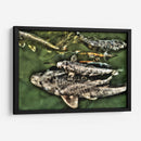 Peces de plata solapados - Dreamer Studio | Cuadro decorativo de Canvas Lab