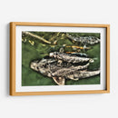 Peces de plata solapados - Dreamer Studio | Cuadro decorativo de Canvas Lab