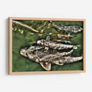 Peces de plata solapados - Dreamer Studio | Cuadro decorativo de Canvas Lab