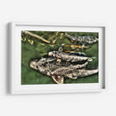 Peces de plata solapados - Dreamer Studio | Cuadro decorativo de Canvas Lab