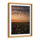 atardecer en el campo - Casados | Cuadro decorativo de Canvas Lab