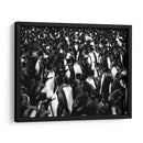 Mil pingüinos - Carlos Montaño | Cuadro decorativo de Canvas Lab