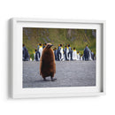 Pingüino juvenil - Carlos Montaño | Cuadro decorativo de Canvas Lab