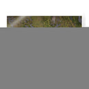 Pingüino juvenil - Carlos Montaño | Cuadro decorativo de Canvas Lab