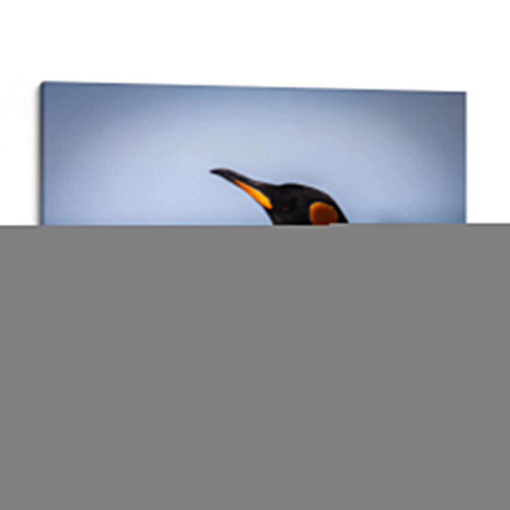 Pingüino y mar - Carlos Montaño | Cuadro decorativo de Canvas Lab