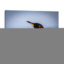 Pingüino y mar - Carlos Montaño | Cuadro decorativo de Canvas Lab