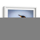 Pingüino y mar - Carlos Montaño | Cuadro decorativo de Canvas Lab