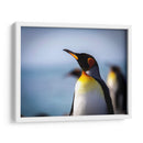 Pingüino y mar - Carlos Montaño | Cuadro decorativo de Canvas Lab