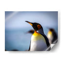 Pingüino y mar - Carlos Montaño | Cuadro decorativo de Canvas Lab