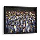 Playa Pingüinos - Carlos Montaño | Cuadro decorativo de Canvas Lab