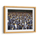 Playa Pingüinos - Carlos Montaño | Cuadro decorativo de Canvas Lab