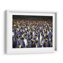 Playa Pingüinos - Carlos Montaño | Cuadro decorativo de Canvas Lab