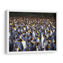 Playa Pingüinos - Carlos Montaño | Cuadro decorativo de Canvas Lab