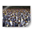 Playa Pingüinos - Carlos Montaño | Cuadro decorativo de Canvas Lab