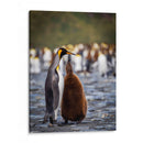 Maternal - Carlos Montaño | Cuadro decorativo de Canvas Lab